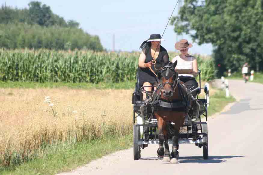 Fahrerfest 2007