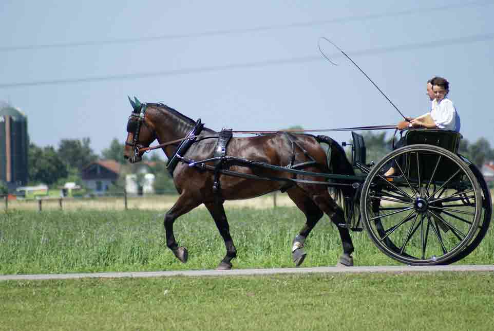 Fahrerfest 2007