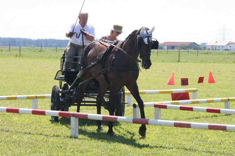 Fahrerfest 2007