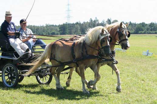 Fahrerfest 2007