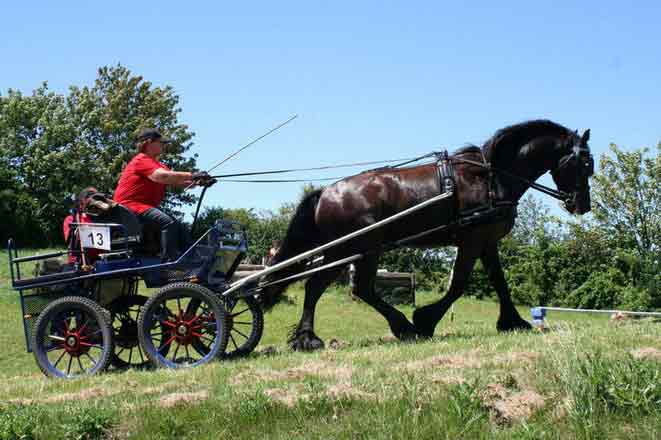 Fahrerfest 2007