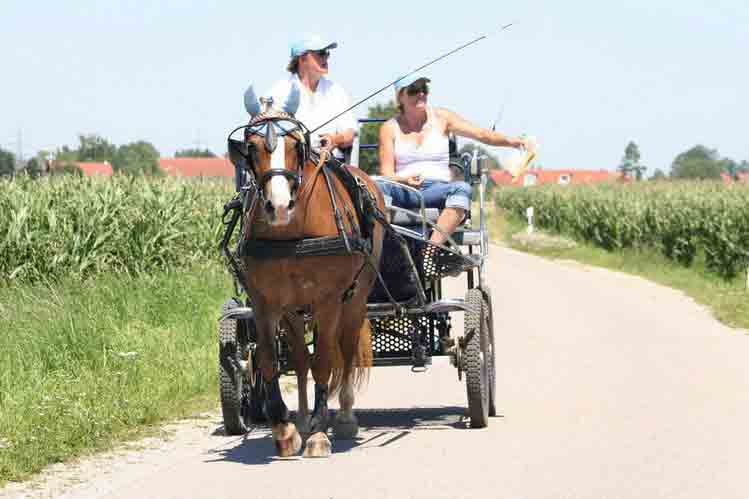 Fahrerfest 2007
