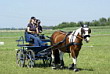 Fahrerfest 2007