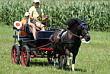 Fahrerfest 2007