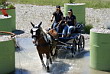Fahrerfest 2007