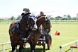 Fahrerfest 2007