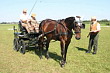 Fahrerfest 2007