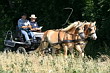 Fahrerfest 2007