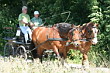 Fahrerfest 2007