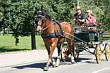 Fahrerfest 2007