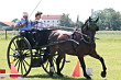 Fahrerfest 2007
