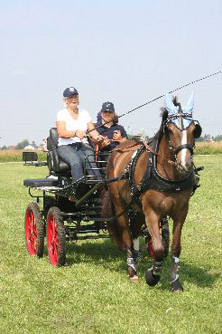 Fahrerfest 2009
