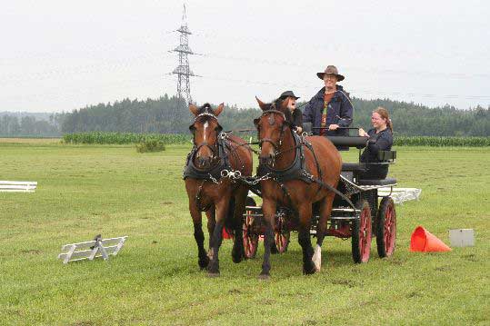 Fahrerfest 2009