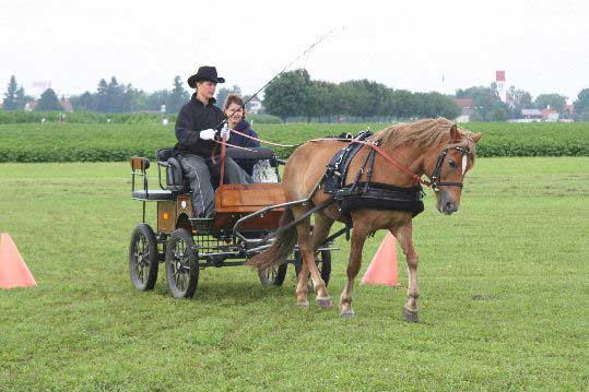 Fahrerfest 2009