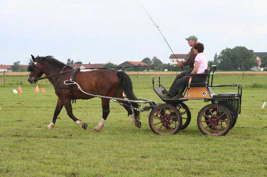 Fahrerfest 2009