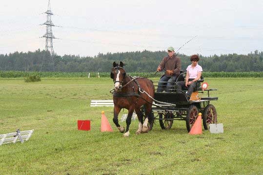 Fahrerfest 2009