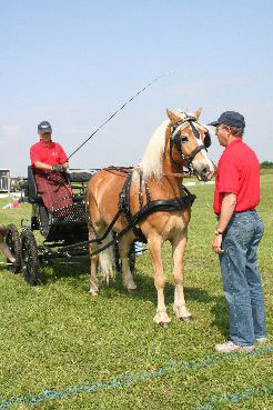 Fahrerfest 2009