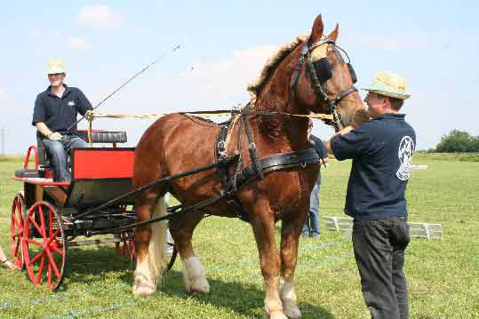 Fahrerfest 2009