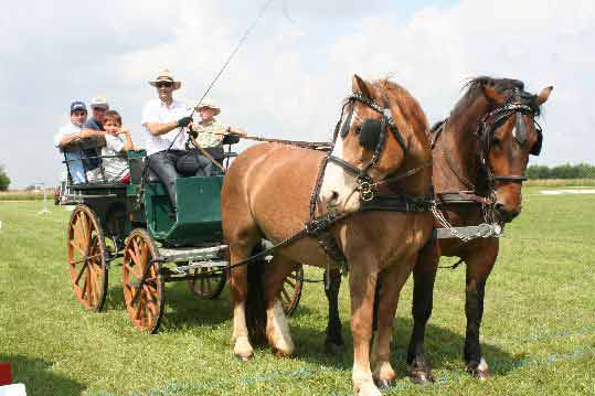 Fahrerfest 2009
