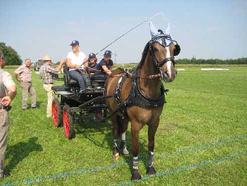 Fahrerfest 2009