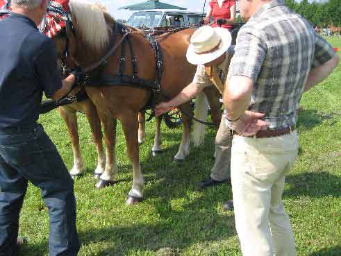 Fahrerfest 2009