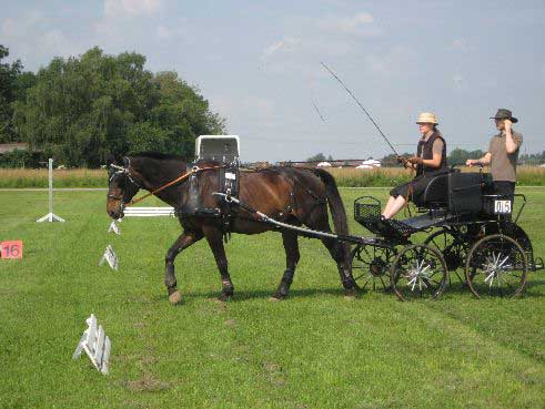 Fahrerfest 2009