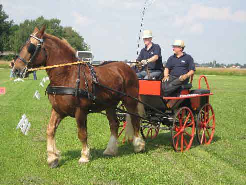 Fahrerfest 2009