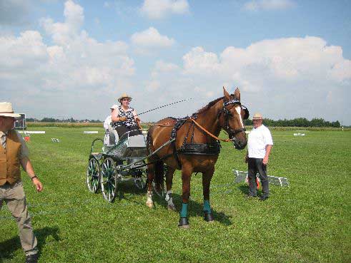 Fahrerfest 2009