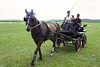 Fahrerfest 2008