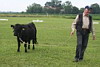 Fahrerfest 2008
