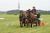 Fahrerfest 2008
