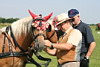 Fahrerfest 2008