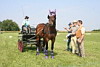 Fahrerfest 2008