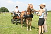 Fahrerfest 2008