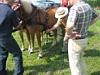 Fahrerfest 2009