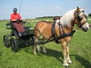 Fahrerfest 2009