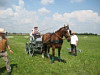Fahrerfest 2009