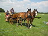 Fahrerfest 2009