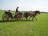 Fahrerfest 2009