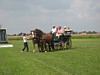 Fahrerfest 2009