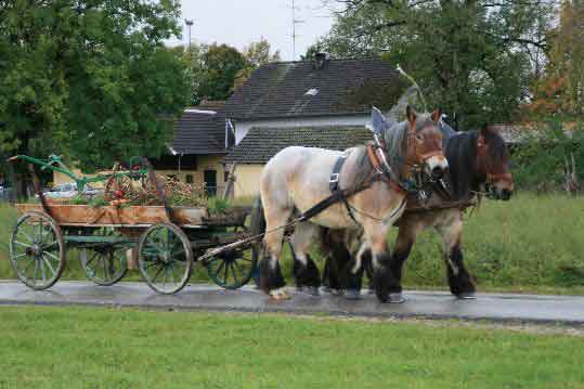 Kirchweihritt 2009