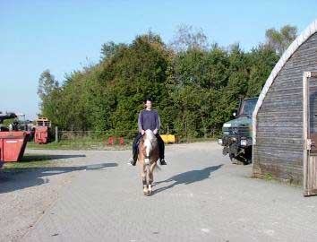 rosl___nico