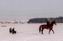 Skijoering