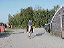 rosl___nico