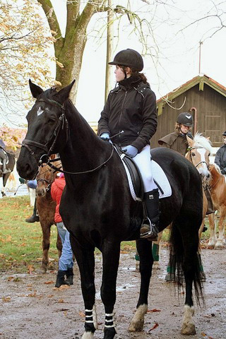 Martiniritt 2006