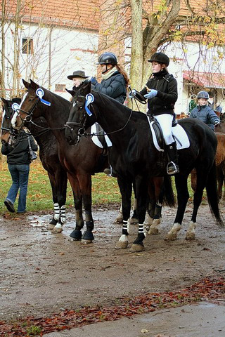 Martiniritt 2006