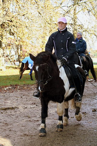 Martiniritt 2006
