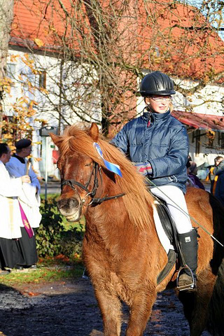 Martiniritt 2006