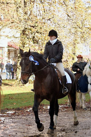Martiniritt 2006