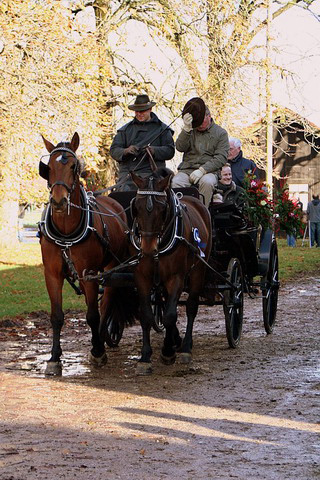 Martiniritt 2006